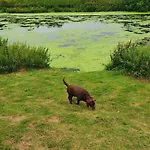 Alfie\'S House
