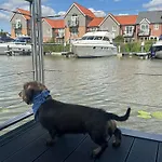 Lincoln Floating Holidays
