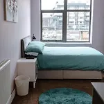 The Swan Guesthouse