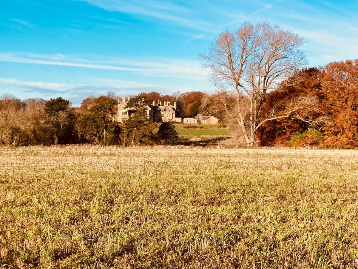 Cosy Four Miles From Centre