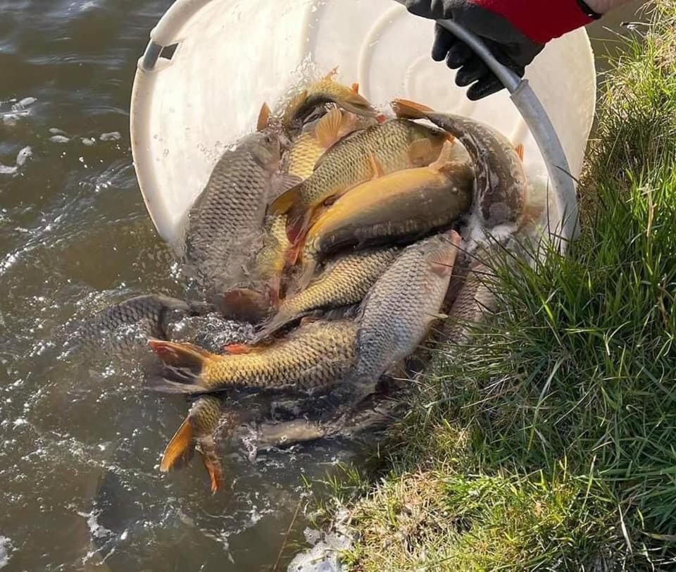 Fishing Family Caravan Lincoln