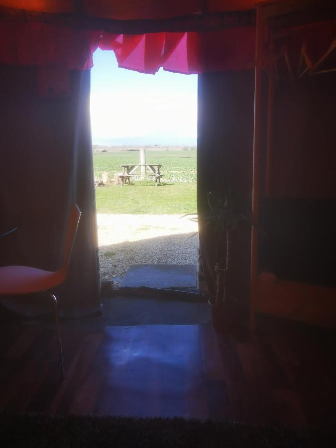 Yurt - Glamping Countryside * Lincoln