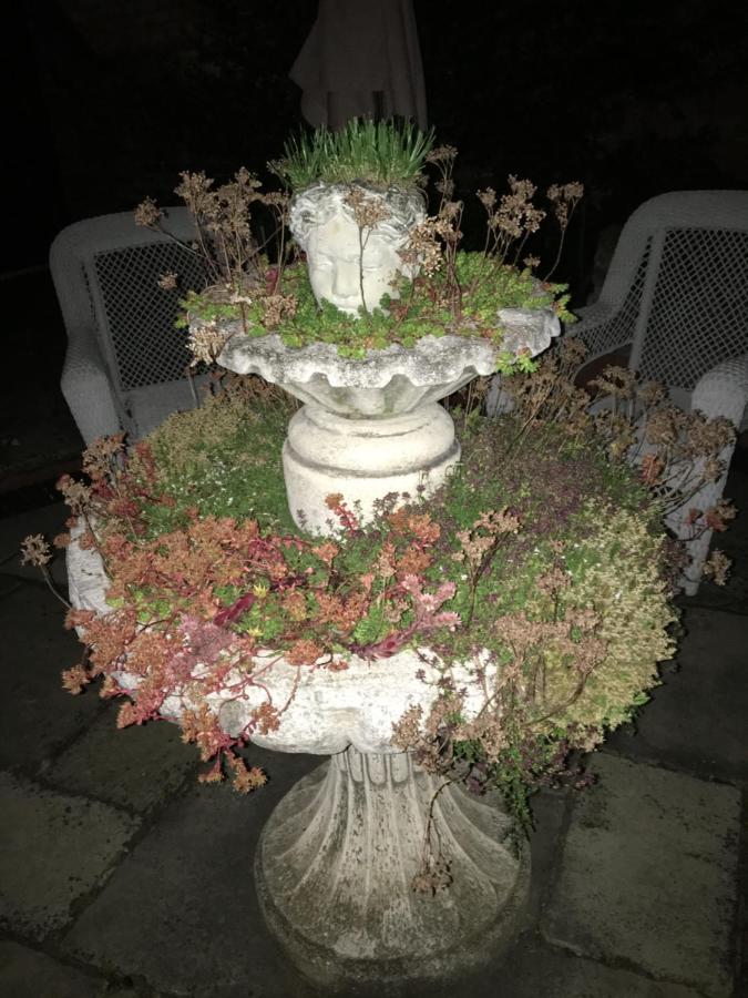 Little Redlands Bed & Breakfast
