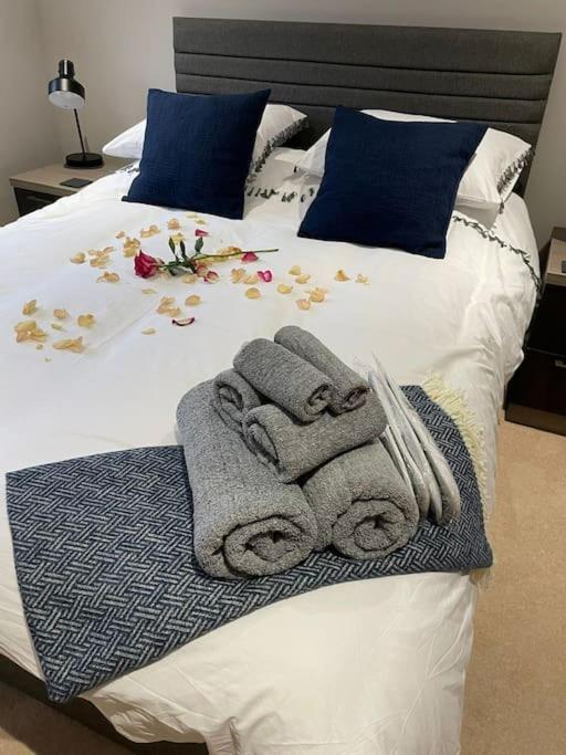 16 St Martins Near To Steep Hill Holiday home *