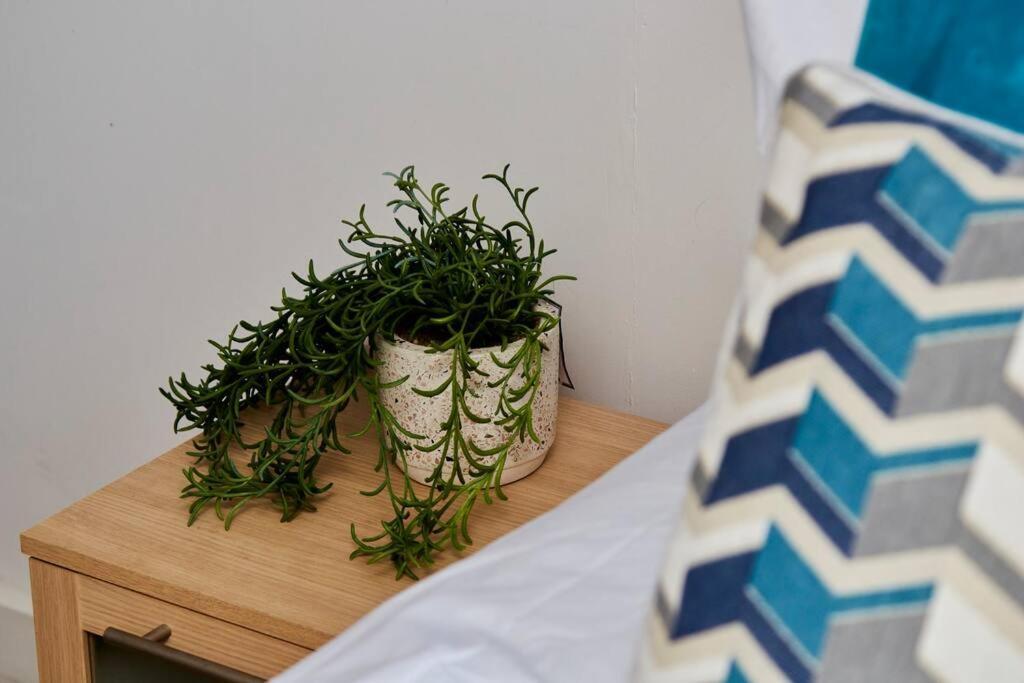 Swanky Centre Apartamento *