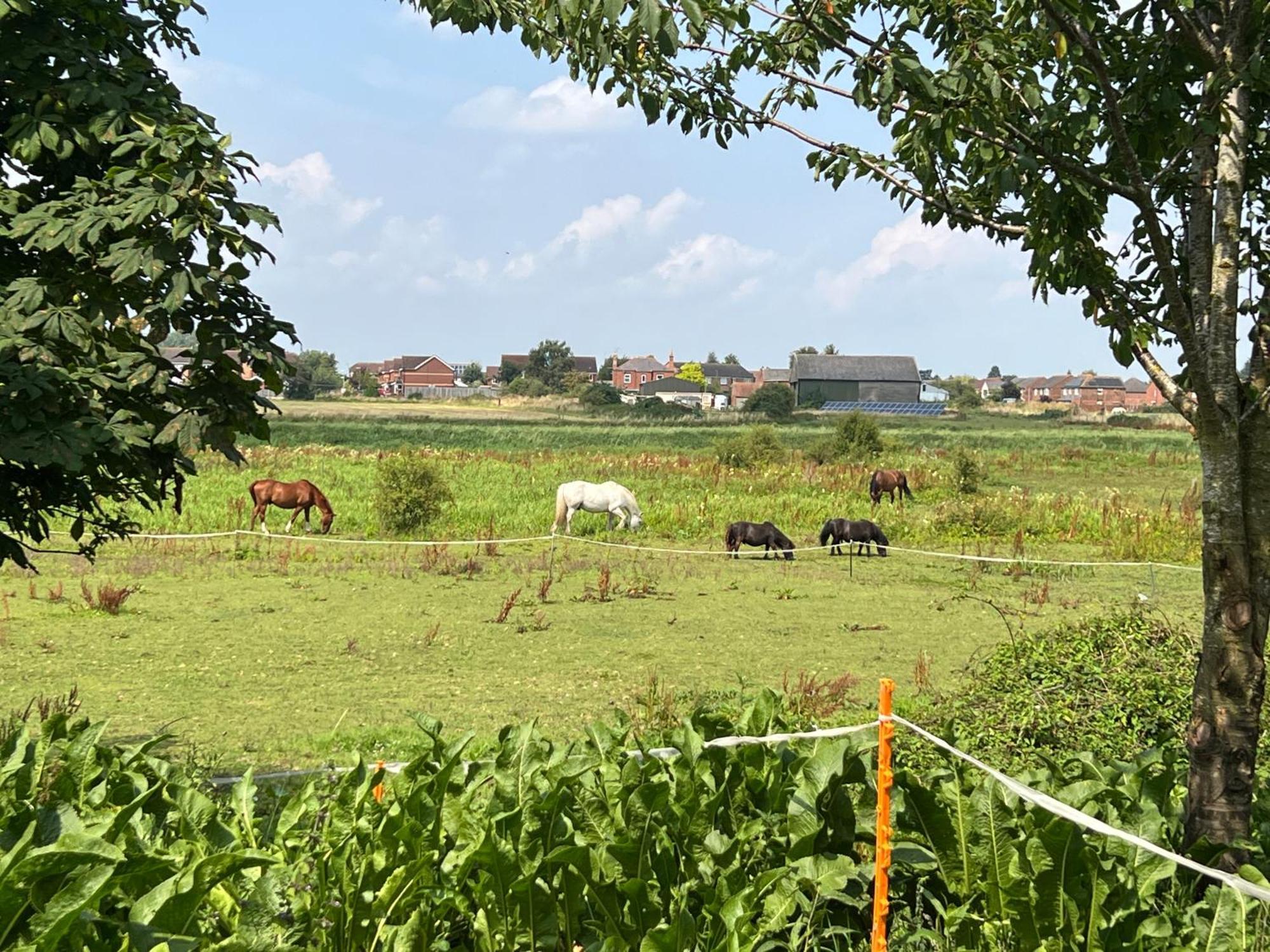 Witham View Holiday home *