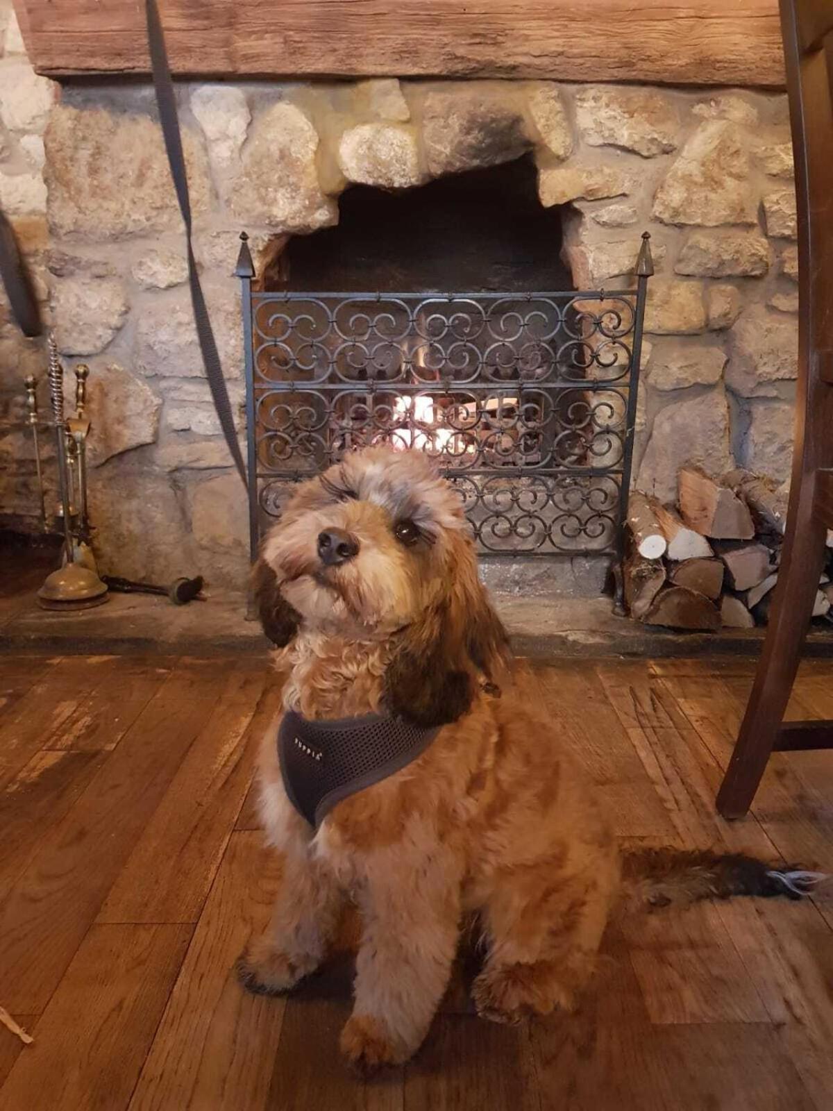 Duke William 4* Lincoln