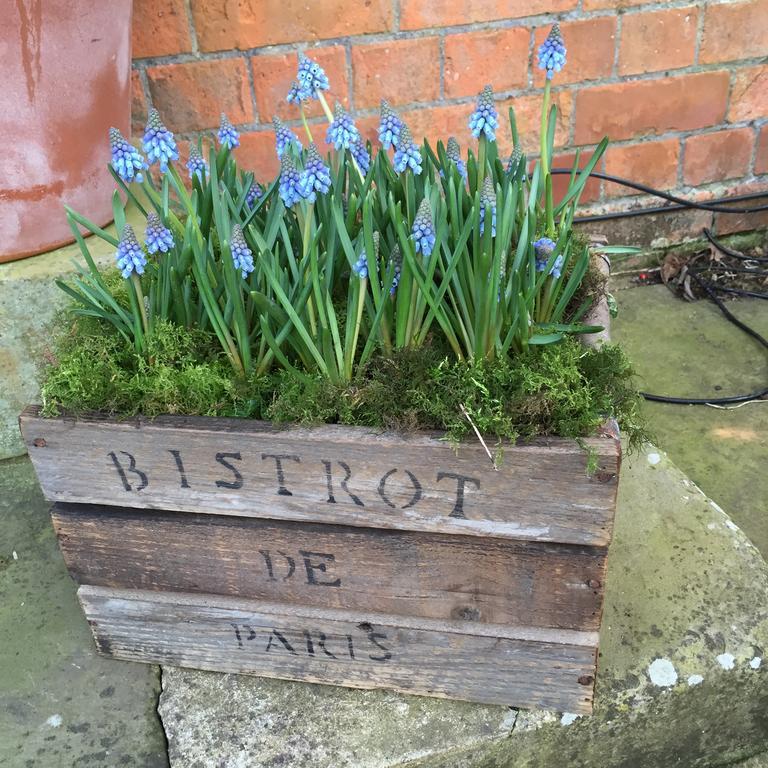 The Dower House Apartment