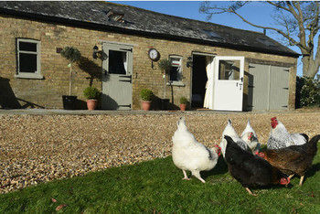 Hotel Bridleway 4*