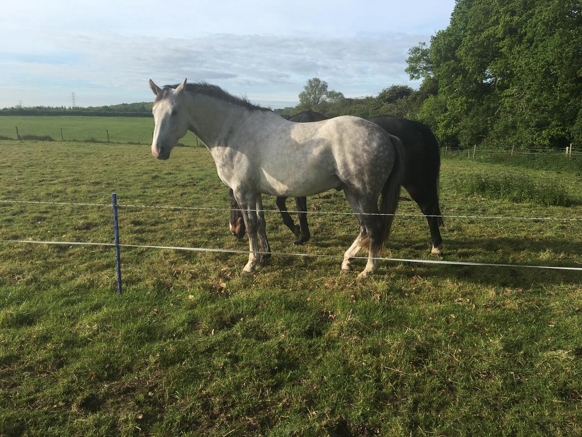 Bridleway Bed & Breakfast 4*