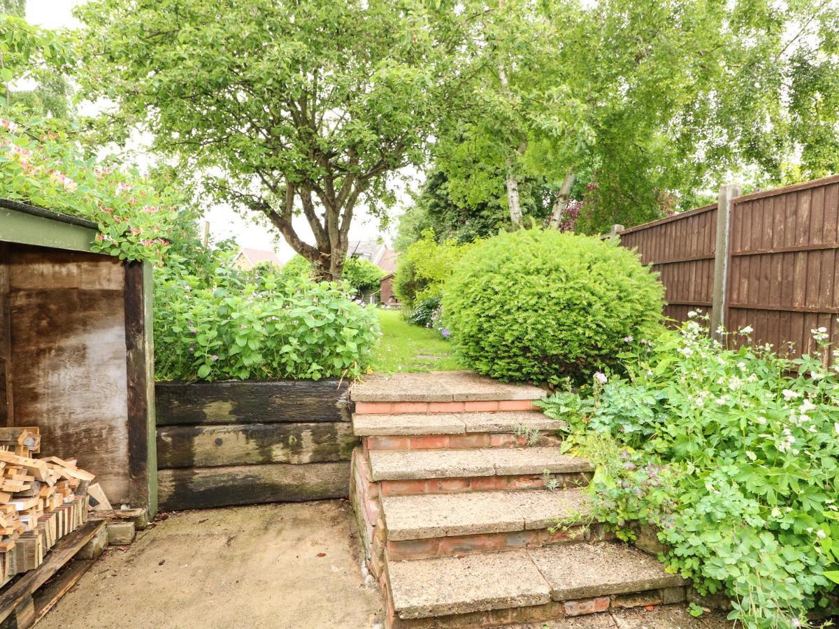 Apple Tree Lincoln