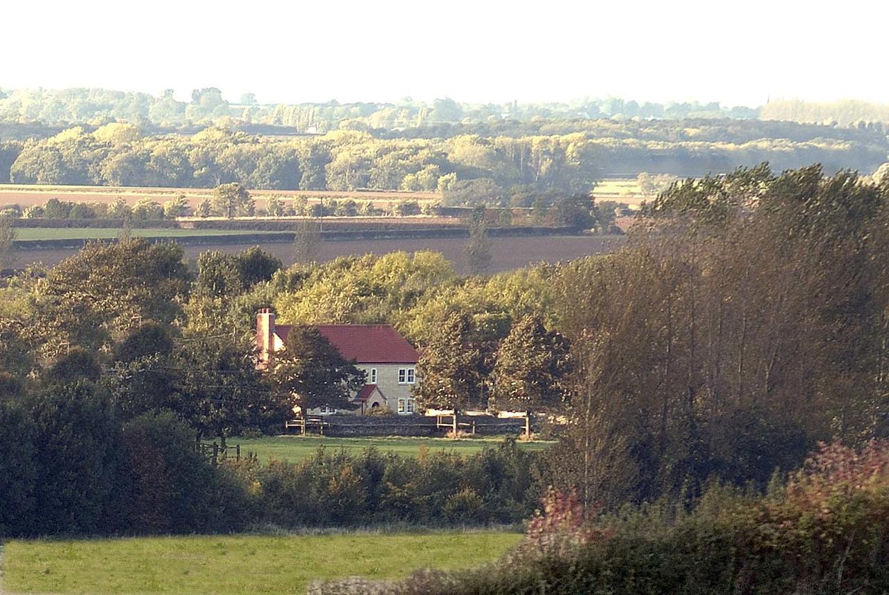 Field View 3* Lincoln